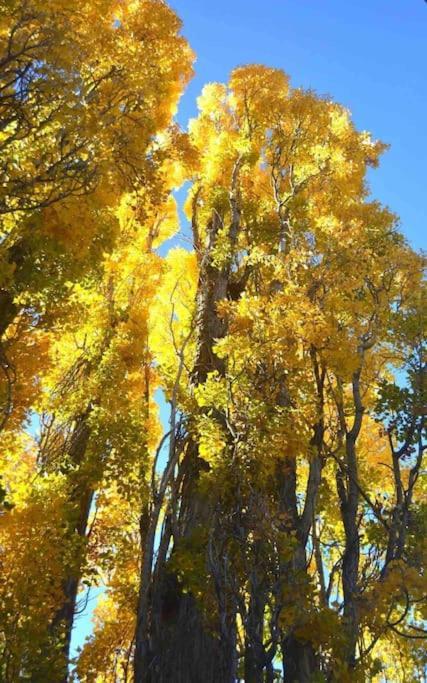 1 B1B Lake Cabin/Walk To Lake/Boulder Bay Park Big Bear Lake Esterno foto