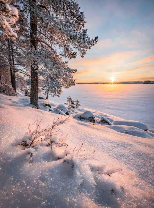 1 B1B Lake Cabin/Walk To Lake/Boulder Bay Park Big Bear Lake Esterno foto