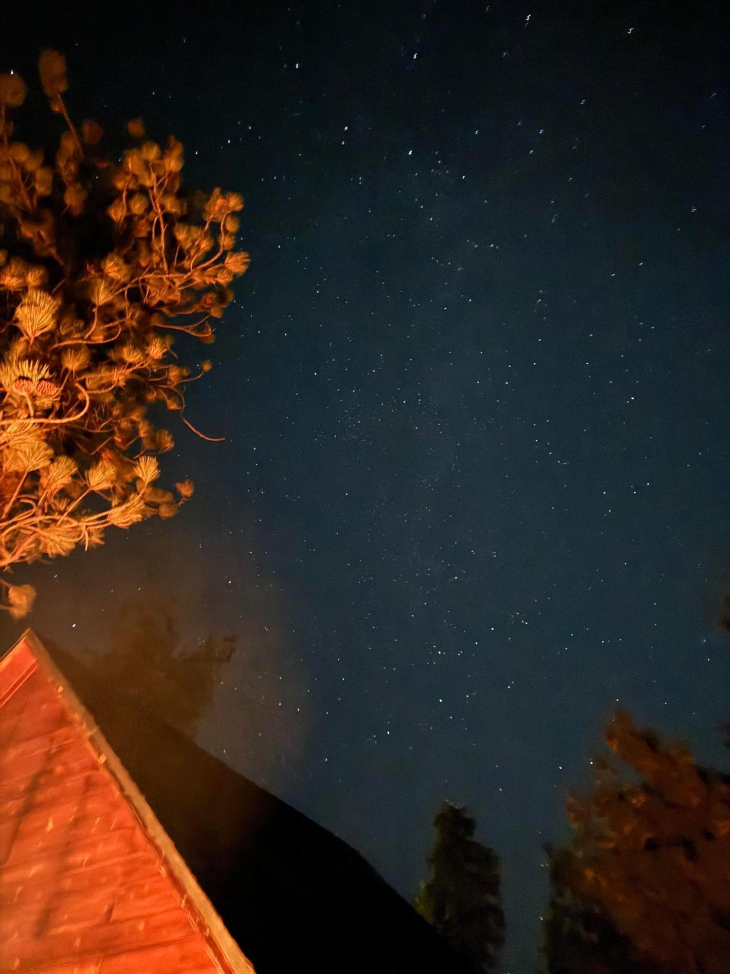 1 B1B Lake Cabin/Walk To Lake/Boulder Bay Park Big Bear Lake Esterno foto