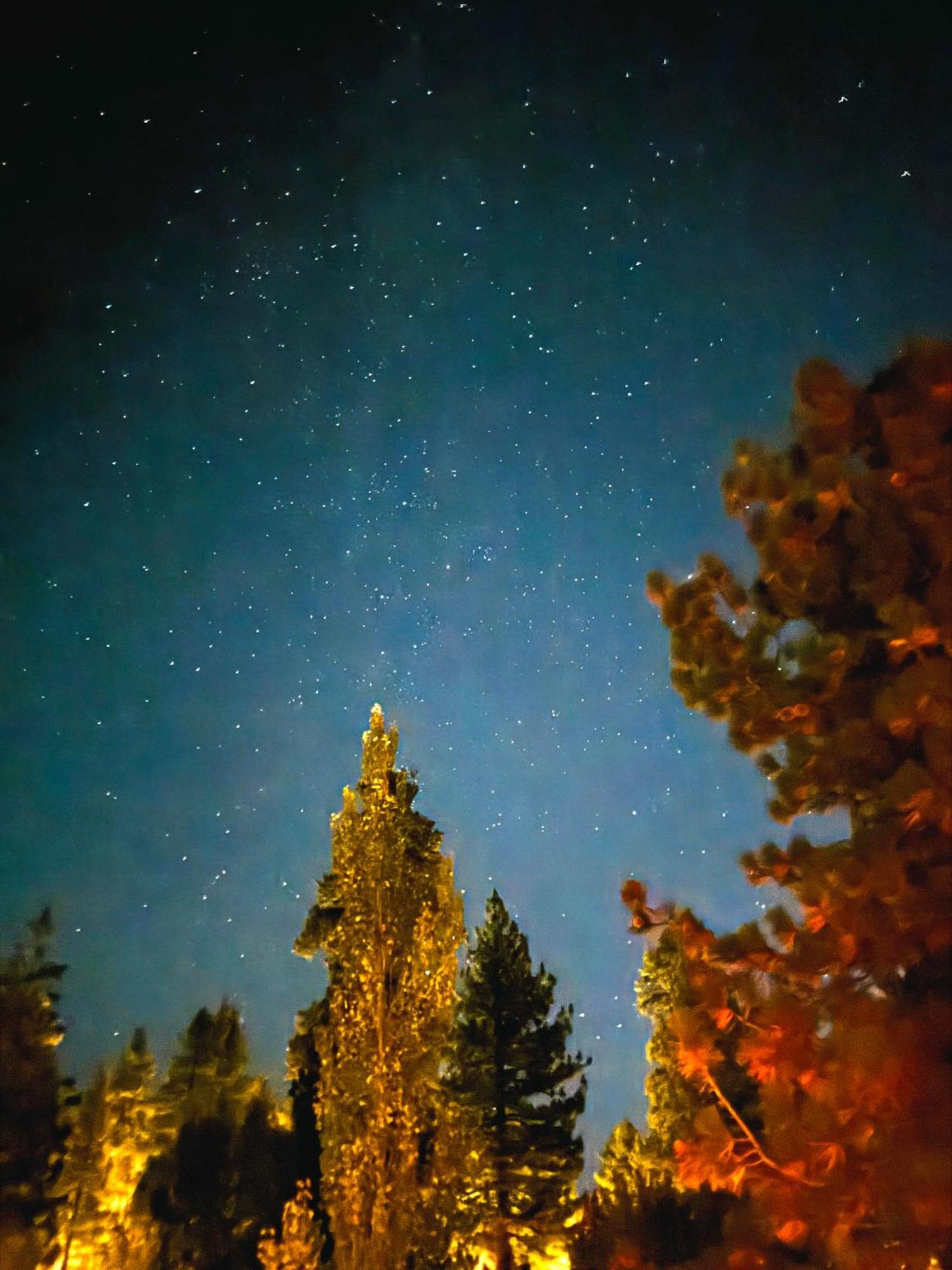 1 B1B Lake Cabin/Walk To Lake/Boulder Bay Park Big Bear Lake Esterno foto